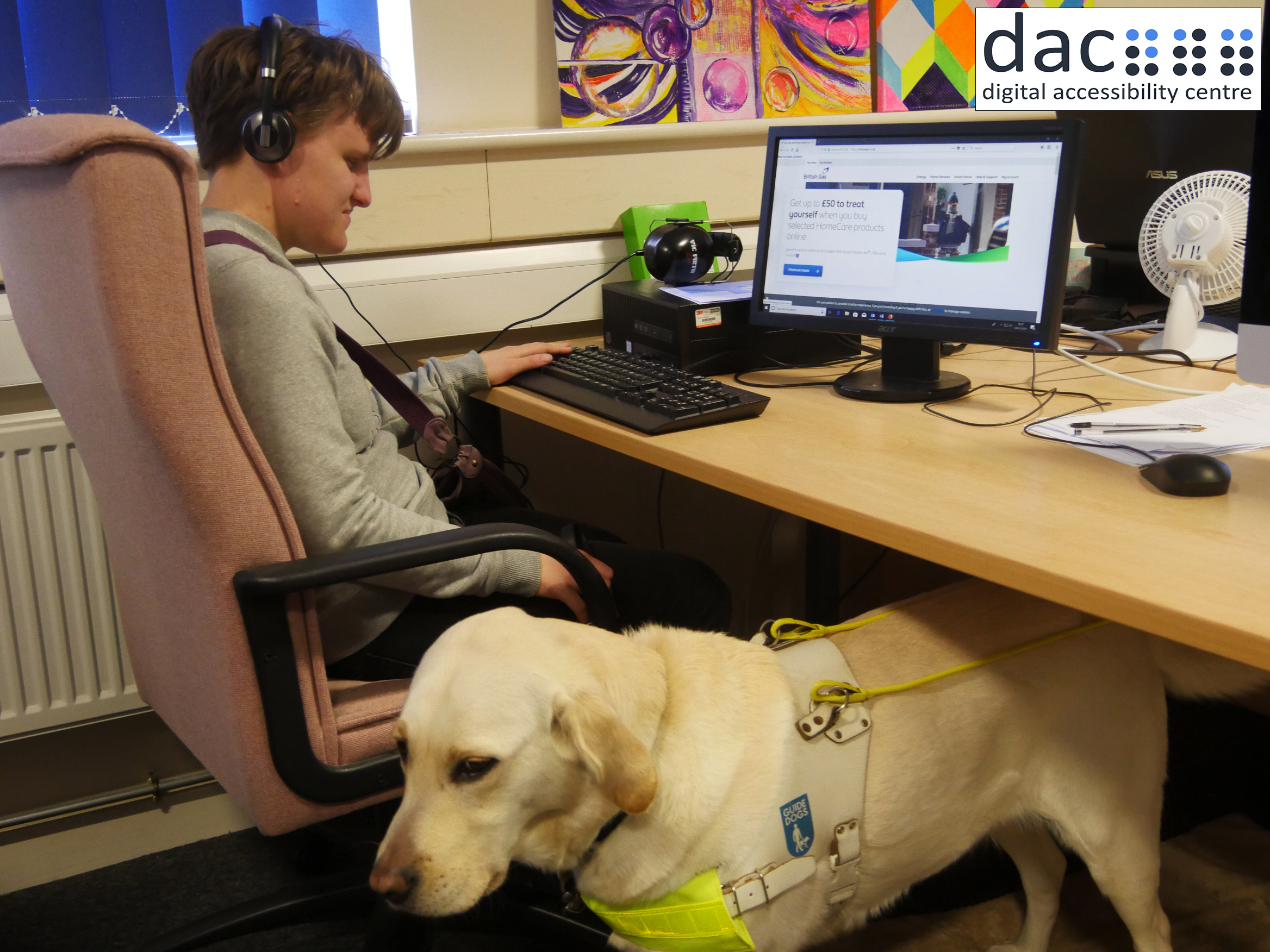 Team member with guide dog demonstrating accessibility awareness